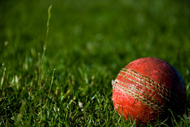 The Rise of Fantasy Sports Cricket in Modern Entertainment